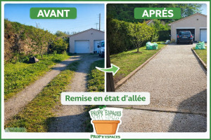 Photo de galerie - Chantier de désherbage et remise au propre d' une allée 