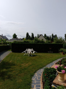 Photo de galerie - Taille de haie