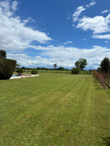 Photo de galerie - Tonte d’une pelouse 