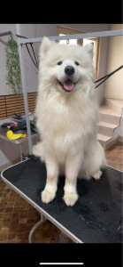 Photo de galerie - Vasco ❤️