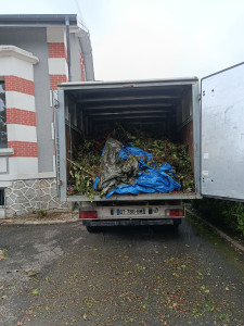 Photo de galerie - évacuation des déchets verts.