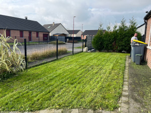 Photo de galerie - Tonte régulière 