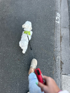 Photo de galerie - -