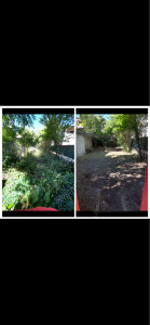 Photo de galerie - Tonte de pelouse - Débroussaillage