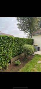 Photo de galerie - Entretien en tout genre 