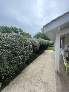 Photo de galerie - Taille boules