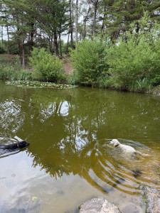 Photo de galerie - ❤️