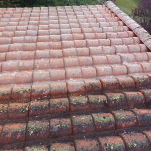 Photo de galerie - Traitement anti mousse fongicide auto nettoyant 