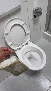 Photo de galerie - Des toilettes propres et désinfectées 