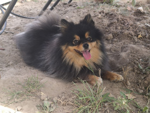Photo de galerie - Le Mignon Pablo 