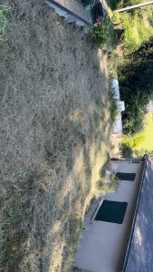 Photo de galerie - Débroussaillage de 4000m2