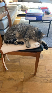 Photo de galerie - Grosse sieste pour Luna