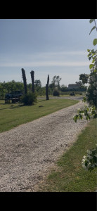 Photo de galerie - Entretien de jardin 