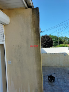 Photo de galerie - Peinture façade avant 