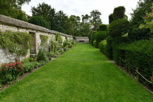 Photo de galerie - Entretien de jardin