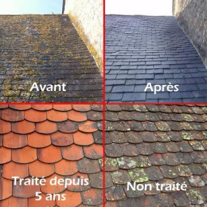 Photo de galerie - Couverture - Toiture