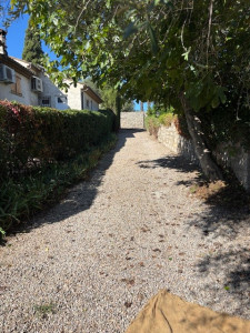 Photo de galerie - Taille de haies