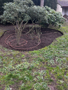 Photo de galerie - Jardinier