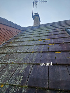 Photo de galerie - Couverture - Toiture