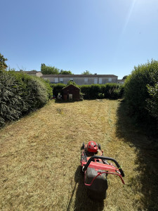 Photo de galerie - Tonte de pelouse - Débroussaillage