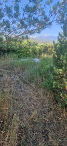 Photo de galerie - Jardinier
