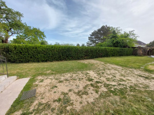 Photo de galerie - Taille de haie, débroussaillage et tonde de pelouse 