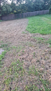 Photo de galerie - Réalisation avec rotavator