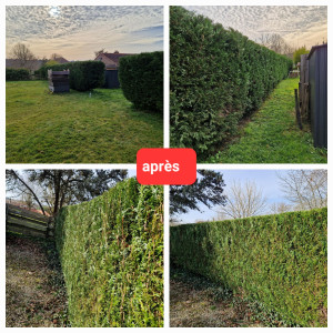 Photo de galerie - Résultats 