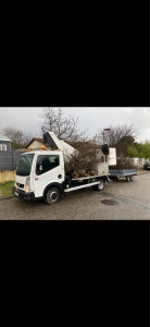 Photo de galerie - Elagage et coupe d'arbres