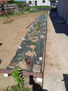 Photo de galerie - Jardinier