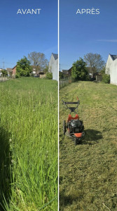 Photo de galerie - Tonte et debroussaillage