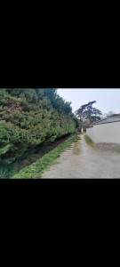 Photo de galerie - .