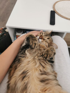 Photo de galerie - Gros câlin après une dure journée 