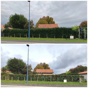 Photo de galerie - Lauriers 