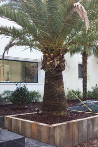 Photo de galerie - Réalisations d’un très belle jardinière en chêne 