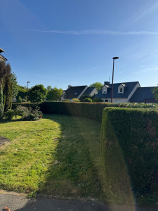 Photo de galerie - Taille + tonte