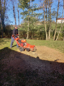 Photo de galerie - Paysagiste - Aménagement du jardin