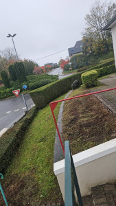 Photo de galerie - Taille de haie et tonte