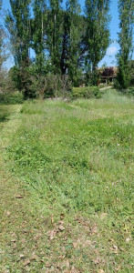 Photo de galerie - Avant mon passage