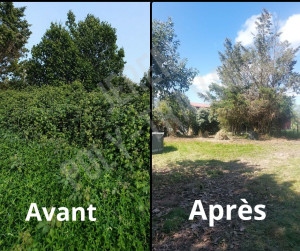 Photo de galerie - Ronce qui ont envahi l'espace 