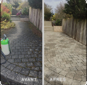 Photo de galerie - Nettoyage dallage 