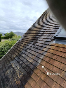 Photo de galerie - Nettoyage toiture

Application d'un agent nettoyant suivi d'un rinçage basse pression.