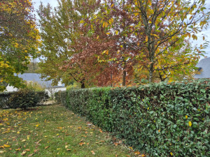 Photo de galerie - Paysagiste - Aménagement du jardin