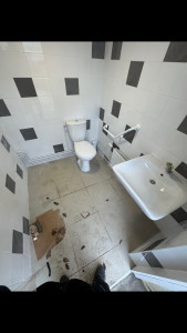 Photo de galerie - Création de wc handicapé
