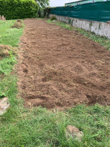 Photo de galerie - Paysagiste - Aménagement du jardin