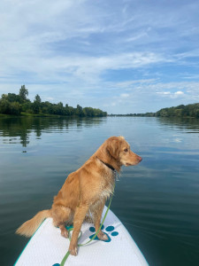 Photo de galerie - Coaching personnel