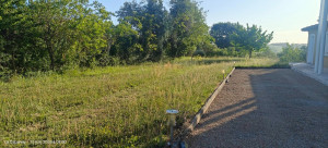 Photo de galerie - Tonte de pelouse - Débroussaillage