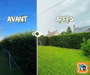 Photo de galerie - Taille de haies et d'arbustes