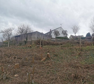 Photo de galerie - Abattage - Défrichage