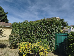 Photo de galerie - Avant 